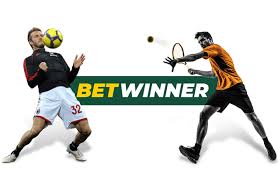 BetWinner Aviator A Thrilling Adventure in Online Gaming